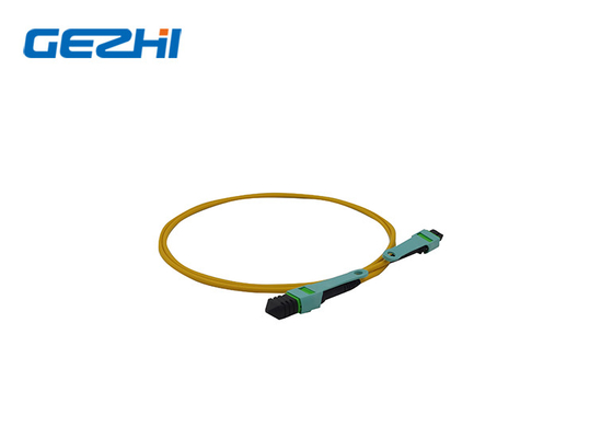 อัพเกรดเครือข่ายของคุณด้วย LC OM3/OM4 8/12/24f MPO/MTP สายไฟเบอร์ออปติก แพทชคอร์ด MPO