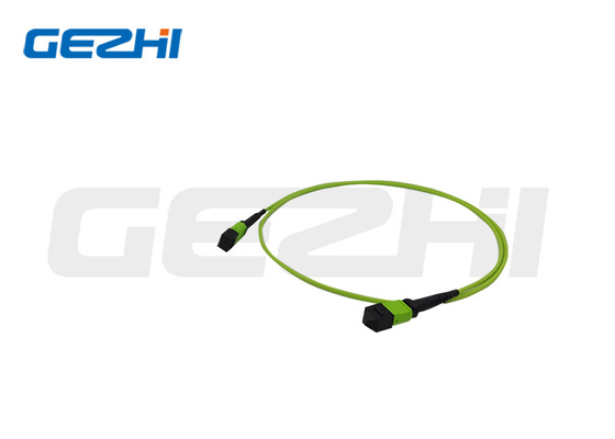 สายแพทช์ OM5 ซีรี่ส์ สายเคเบิล Trunk MPO สำหรับการเชื่อมต่อออปติคัลความหนาแน่นสูง