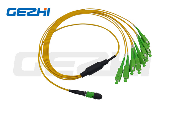 MTP / MPO Trunk Cabe 12 คอร์ / 24 คอร์ / 48 คอร์ / 72 คอร์ / 96 คอร์ / 144 คอร์ OS2 สายแพทช์ใยแก้วนำแสง